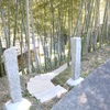 十割蕎麦 玉竹 - メイン写真: