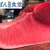 にっぽん漁港食堂 - メイン写真: