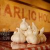 Garlic Mania - メイン写真: