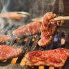 Yakiniku Horumon Sakaba Toroniku - メイン写真: