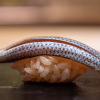 Sushi Eishin - メイン写真: