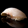 Sushi Matsubara - メイン写真: