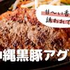 沖縄 肉酒場 ぬちぐすい - メイン写真: