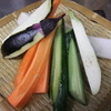 拉薩 - 料理写真:【かぶりつきサラダ】 新鮮な季節野菜のぶつ切り  600円