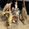 創作鉄板と鮨 たけはな - メイン写真: