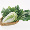 マルヤマ - その他写真:『シュンギク』など長野から農家直送の新鮮野菜を使用