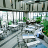 Es ROOFTOP GARDEN BAGUS - メイン写真: