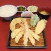 だるまの天ぷら定食 - 料理写真:エビ盛り合せ定食