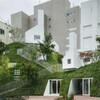 SHIROIYA the RESTAURANT - メイン写真: