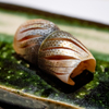 Sushi Fujirou - メイン写真: