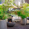 THE ROOF BBQ GARDEN - メイン写真: