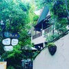 RISTORANTE IL NODO - メイン写真: