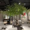 さん 六本木店 - メイン写真: