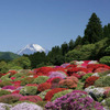 つつじの茶屋 - 外観写真:庭園からは富士山が見えます。