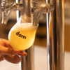 Dam brewery restaurant - メイン写真:
