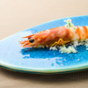 Cucina Italiana Gallura - メイン写真: