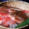 魚と日本酒 魚バカ一代 - メイン写真: