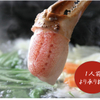 和風居酒屋 琴～koto～ - メイン写真: