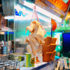 タイ屋台 999 - メイン写真: