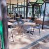 PARK CAFE BRANCO - メイン写真: