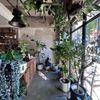 VEGE-PLANT CAFE BAR LEBRO - メイン写真:
