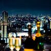 SAKURA SKY PALACE - メイン写真: