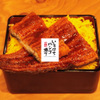 Unagi To Yakitori Tsunekichi - メイン写真: