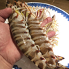 料理屋 ゆう香 - メイン写真: