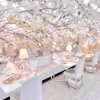 HAUTE COUTURE CAFE OMOTESANDO - メイン写真: