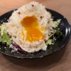 タマリバ 白金魚 PLATINUM FISH - メイン写真: