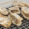 Shouei - 料理写真:プリップリの新鮮牡蠣を網焼きで。自然の旨味が味わえる『牡蠣』