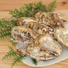 Shouei - 料理写真:潮の香りと自然の甘味が楽しめる、糸島産の大粒の牡蠣を楽しんで