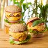 魔女のちいさな森のハンバーガー - メイン写真: