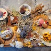 800°DEGREES ARTISAN PIZZERIA - メイン写真: