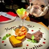 Cafe Restaurant AUREOLE - メイン写真: