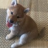 焼肉 やまかん亭 - メイン写真: