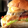 Shimauma Burger Uji - メイン写真: