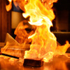 Teppanyaki Madoi - メイン写真: