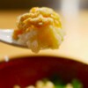 とり やまもと - メイン写真: