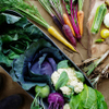 WE ARE THE FARM EBISU - メイン写真: