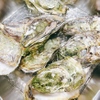 銀座方舟 - 料理写真:能登牡蠣のかんかん蒸し焼き