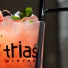 trias dining - メイン写真: