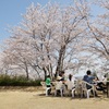 NIKKOEN BBQ＆PARTY GARDEN - メイン写真: