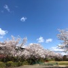 Nikkoen Bbq＆Party Garden - メイン写真: