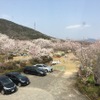 Nikkoen Bbq＆Party Garden - メイン写真: