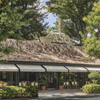 Ristorante Aso - メイン写真: