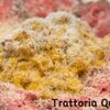 Trattoria QUINTO - メイン写真: