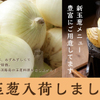 Kaisen Dashi Izakaya Awajishima No Megumi Dashiya - メイン写真: