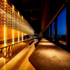 The Dragonfly Bar - メイン写真: