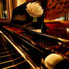 The Dragonfly Bar - メイン写真: